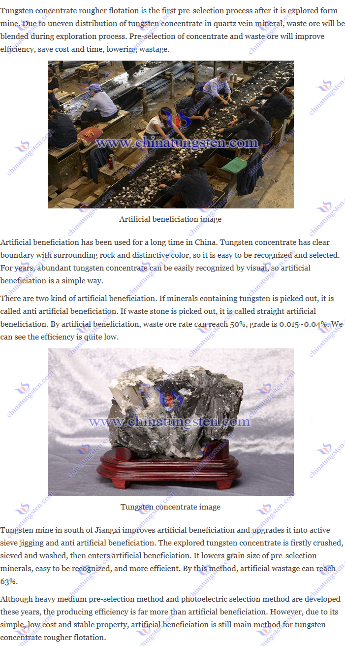 tungsten concentrate rougher flotation – artificial beneficiation image