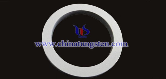 tungsten carbide seal picture