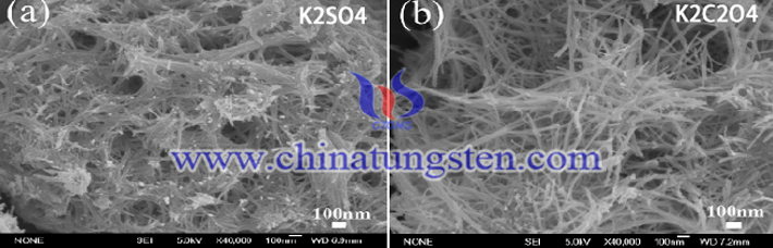 hexagonal WO3 wire SEM image synthesized with different salts as additives