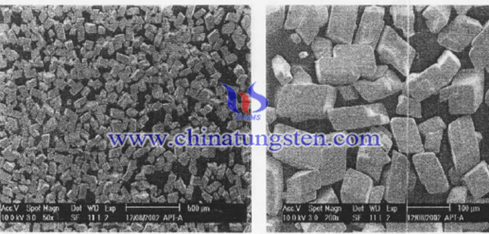 single crystal ammonium paratungstate SEM picture