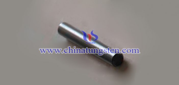 tungsten alloy cylindrical locating pin picture