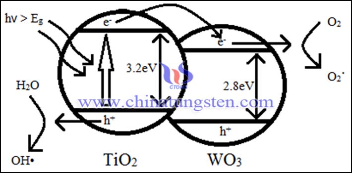 TiO2-WO3 ???? ?? ??