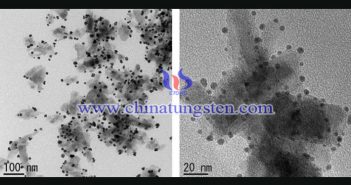 燃料電池畫像用の二硫化タングステンナノシート