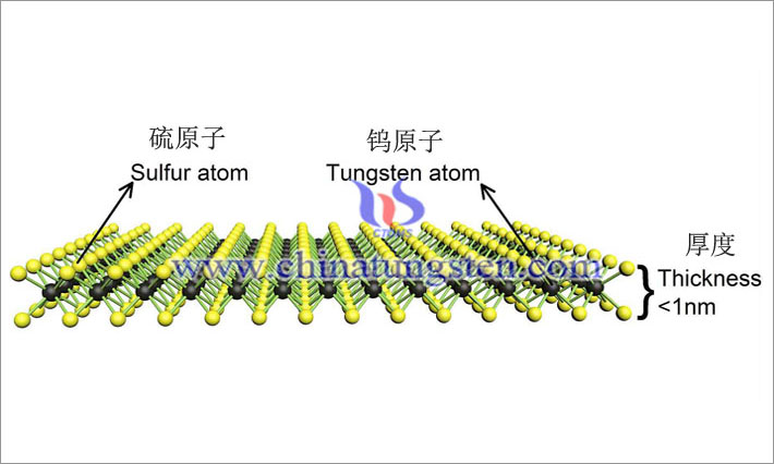 二次元層狀ナノ材料：ナノ二硫化タングステン
