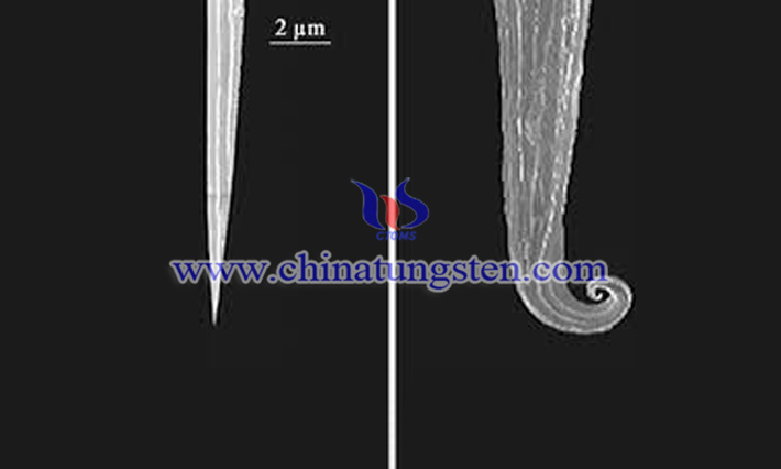 電解法によるタングステン針の作制