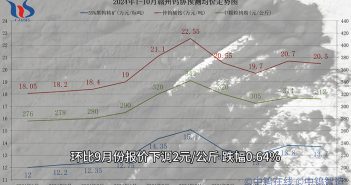 贛州鎢協2024年10月份國內鎢市預測均價